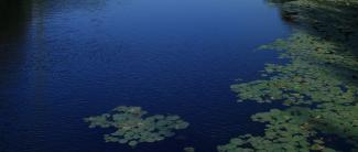 International Forum on Social Policy and Social Development