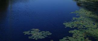 International Summer Graduate School on “Contemporary Urbanization and Social Governance”