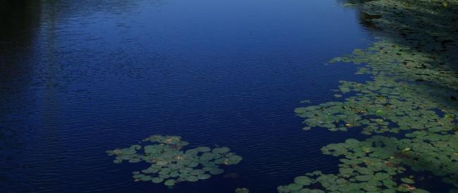 International Summer Graduate School on “Contemporary Urbanization and Social Governance”